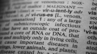 留学生必見!英語のスラングをマスターして自然な会話!